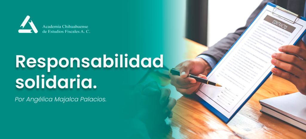 Responsabilidad solidaria